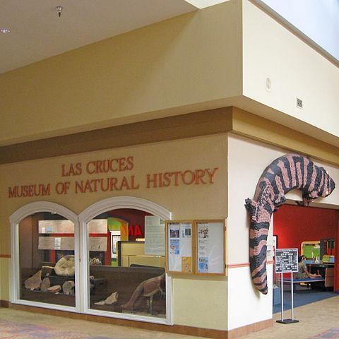 IM Roswell NM