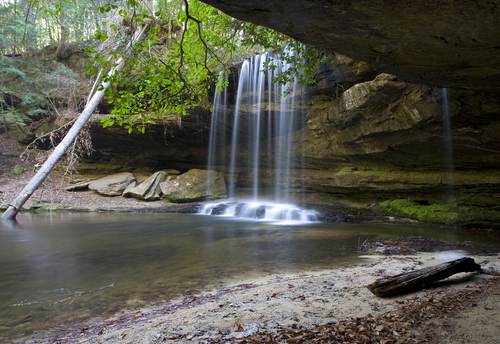 ORS Sports Enterprise AL