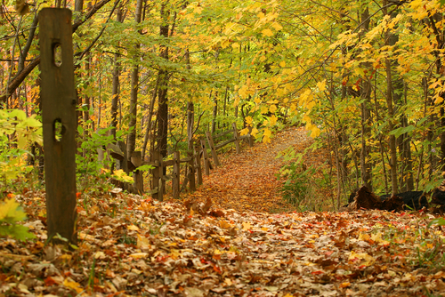 Indiana