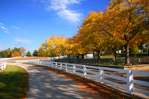 Kentucky