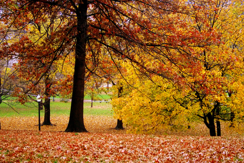 Massachusetts