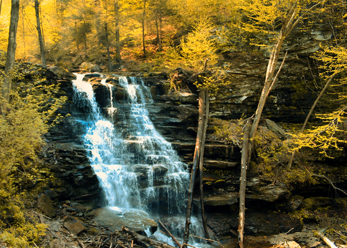 Pennsylvania