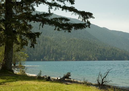 Washington