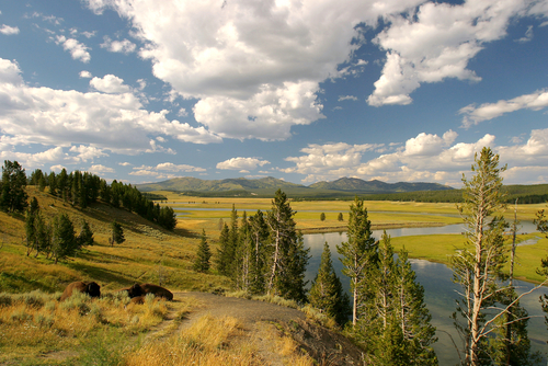 Wyoming